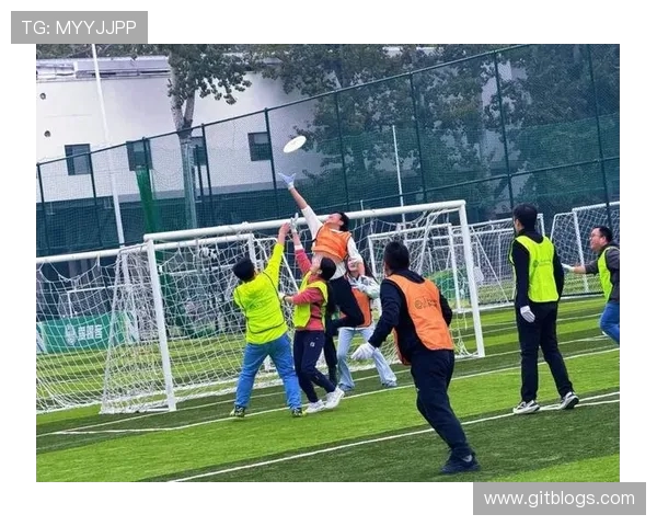 深入分析西安飞盘队区域防守战术及其在比赛中的应用效果